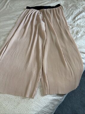 Zara Basics Pleated Wide-Leg Pants in Light Blush with Black Waistband